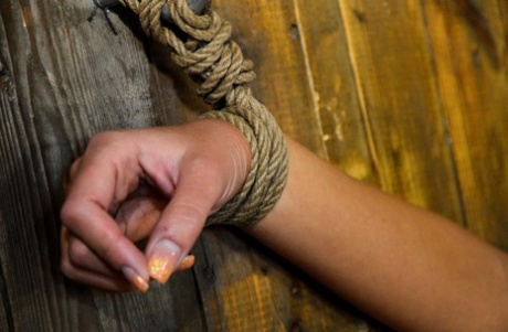 Mia Manatote is restrained to a wooden wall before painful nipple pegging 70224461